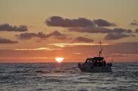 Vrijstaande villa met verwarmd zwembad in Monte Golf, Las Filipinas